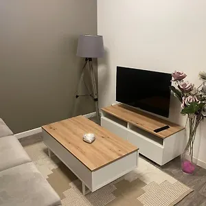 Authentique Et Calme Hypercentre Wifi Netflix Appartement Saint-Etienne (Loire)